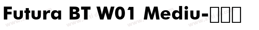 Futura BT W01 Mediu字体转换